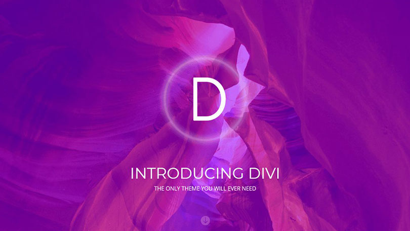 Divi_theme_logo